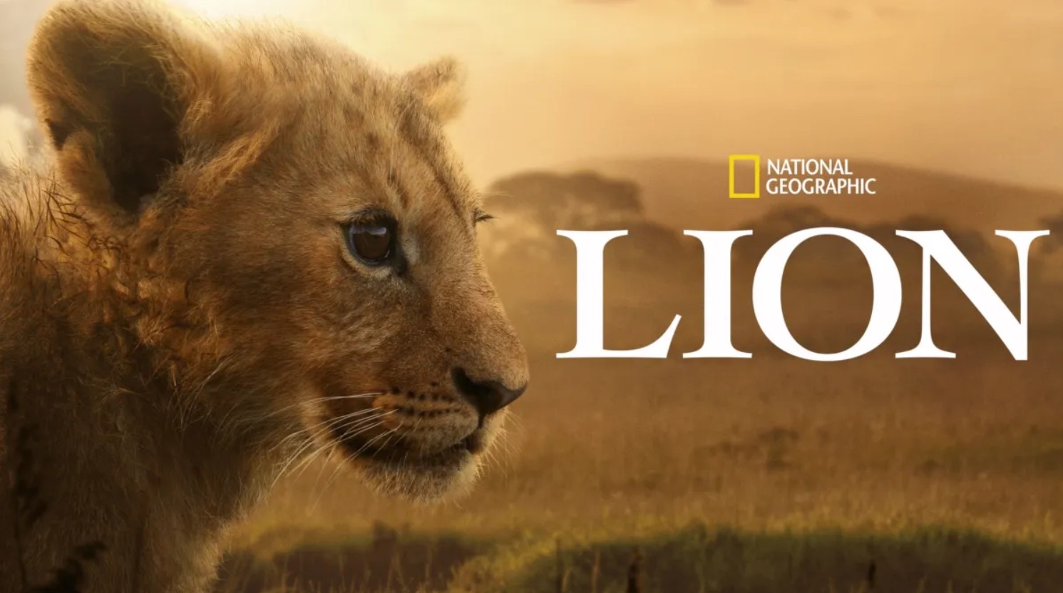 مسلسل Lion الحلقة 4 مترجمة - الاخيرة